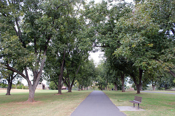 Pecan Grove at Joyner Park in Wake Forest, North Carolina stock photo