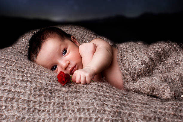 Newborn with a rose stock photo