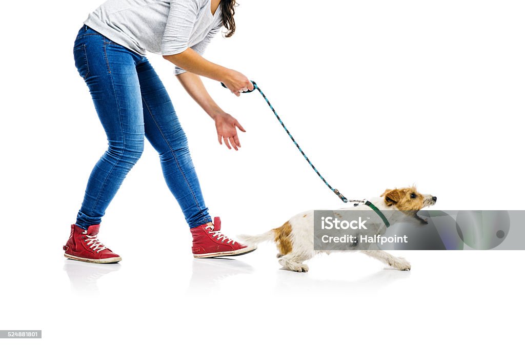 Chien sur lead sur pied avec son propriétaire - Photo de Chien libre de droits