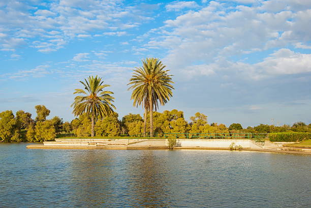 istock The lake in the park 524882187