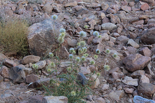 istock Mountains of Rocks and Boulders in Lanscape view 524882571