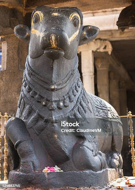 Statue Of Nandi The Bull At Thiruvannamalai Temple Stock Photo - Download Image Now - iStock Statue Of Nandi The Bull At Thiruvannamalai Temple Stock Photo - Download Image Now - iStock