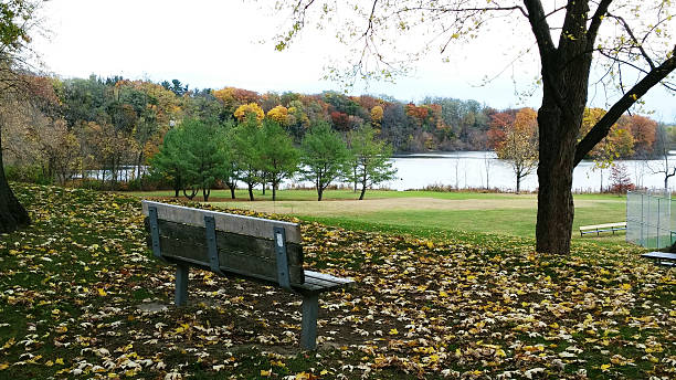 Empty Park Bench in Fall at Collins Park, Scotia, NY