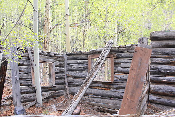 gold miners cabin an old abandoned gold miners cabin in the mountains of Colorado, mother nature is reclaiming all of what belongs to her, miners cabin stock pictures, royalty-free photos & images
