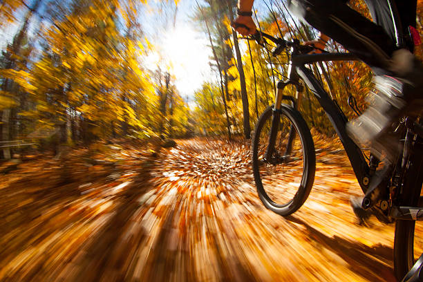 Mountain biker riding a colorful trail through the woods stock photo