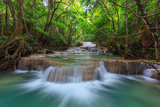 Cascade d'eau - Photo