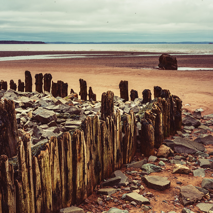 The remains of a long forgotten wharf jut out into the Bay of Fundy at low tide.
