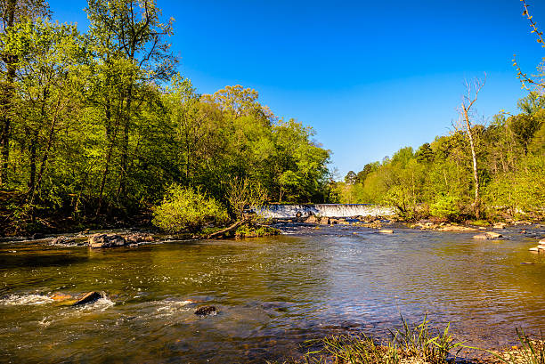 istock Flowing waters and trees at Eno River 524891344