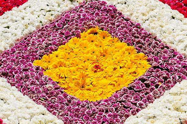 istock Carpet of yellow and violet flowers 524892726