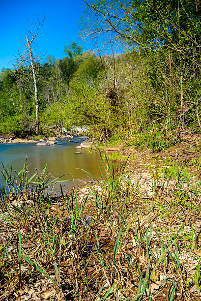 istock Grassy river bank at the Eno 524892742