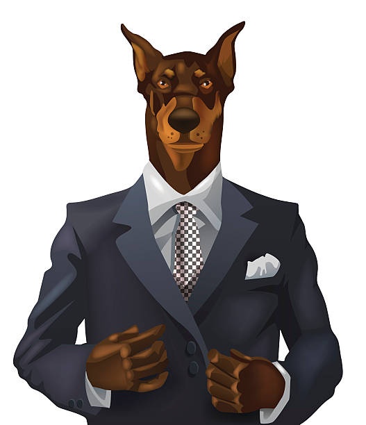 man with doberman head vector man with doberman head dressed up in office suit dog tuxedo stock illustrations