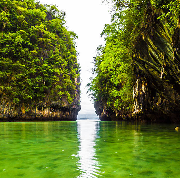 гонконг остров знаменитый тур лагуна в краби, таиланд. - phuket province beach blue cliff стоковые фото и изображения