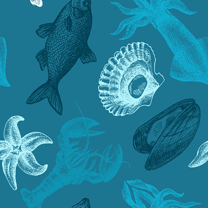 sea food illustration