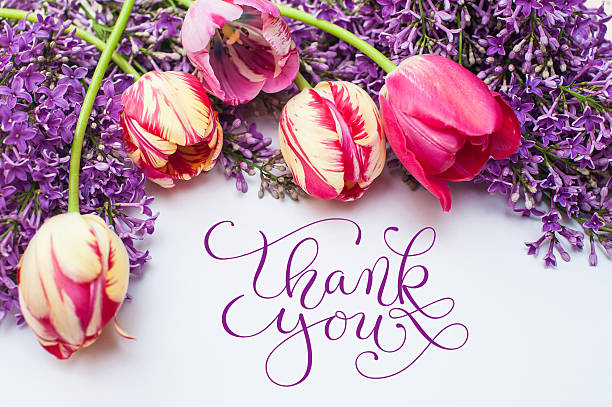istock frame from tulips and lilac  with words thank you 524899364