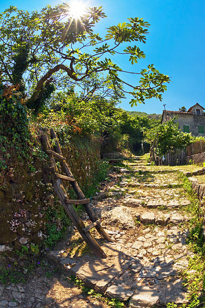 trilha em abandonado vila - landmarks roof staircase landscape - fotografias e filmes do acervo