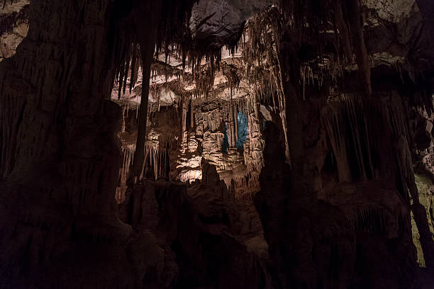 Inside a dark cave Inside the well decorated Lehman Caves in Great Basin National Park, Nevada. great basin national park stock pictures, royalty-free photos & images