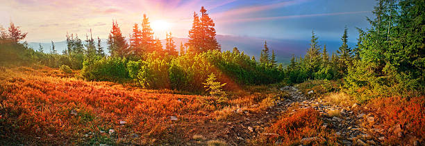 istock alpine autumn in Gorgany 524901987