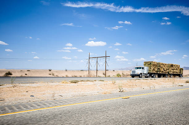 istock American truck on the route 66 524902009