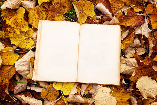 istock Vintage book on autumn leaves background 524902149