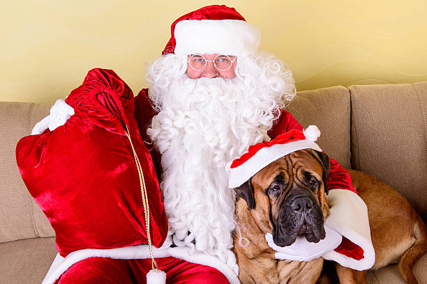 istock happy Santa Claus with dog 524902447