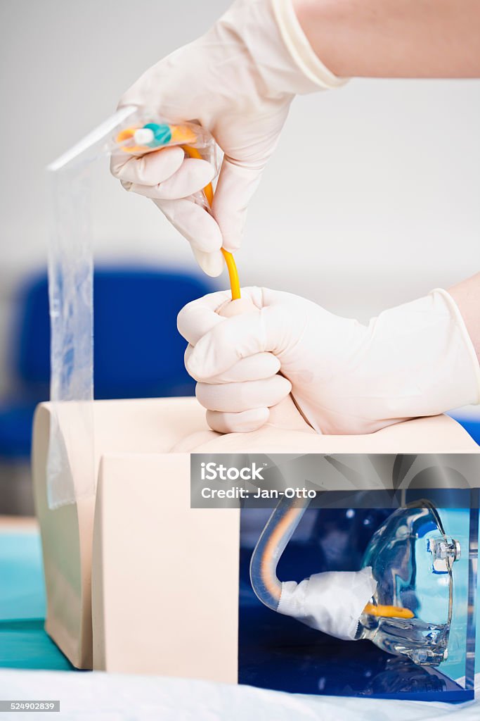 Inserting a catheter A medicine student  inserting a catheter into a male bladder and penis model.  Image taken with Canon EOS 1 Ds Mark II and EF 100 mm 2,8 USM Macro. Catheter Stock Photo