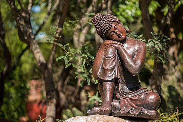 Statue of bronze buddha sleeping in a garden by mesquite tree