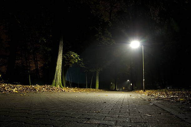 istock Wood in the darkness 524904099