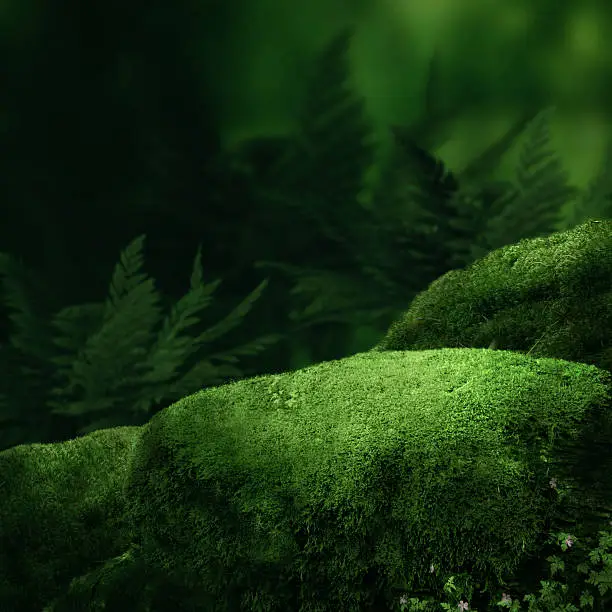 Dark magic forest with big moss stones