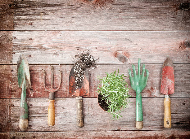 istock Garden Tools, Seeds, Herbs and Rosemary on Old Wood Background 524904662