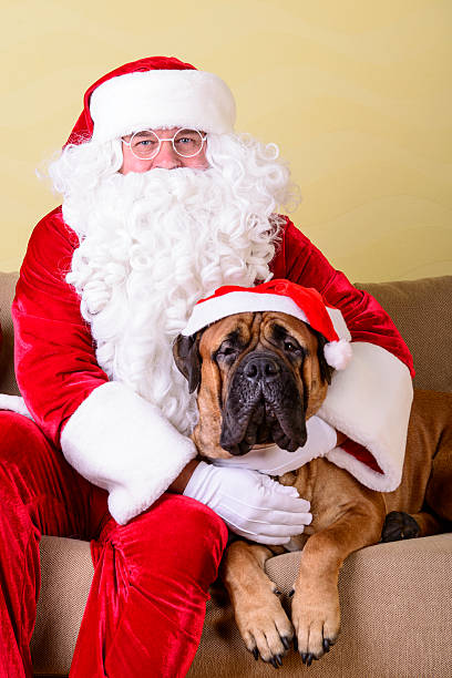 happy Santa Claus with dog in the interior