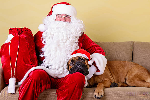 istock Santa Claus with dog 524904993
