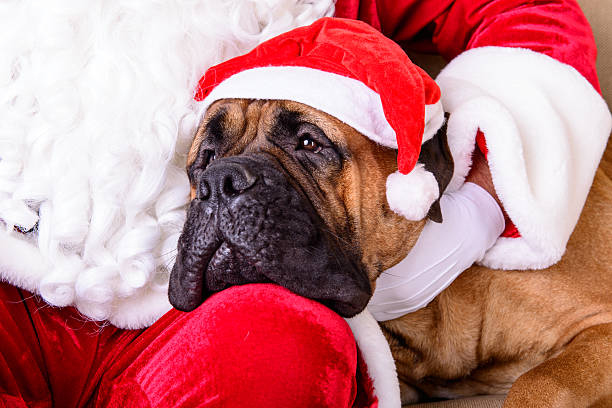 happy Santa Claus with dog closeup