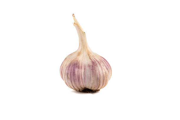 istock close up of garlic bulb isolated over white 524905461