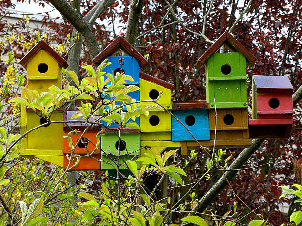 istock Colorful wooden birdshouses 524905482