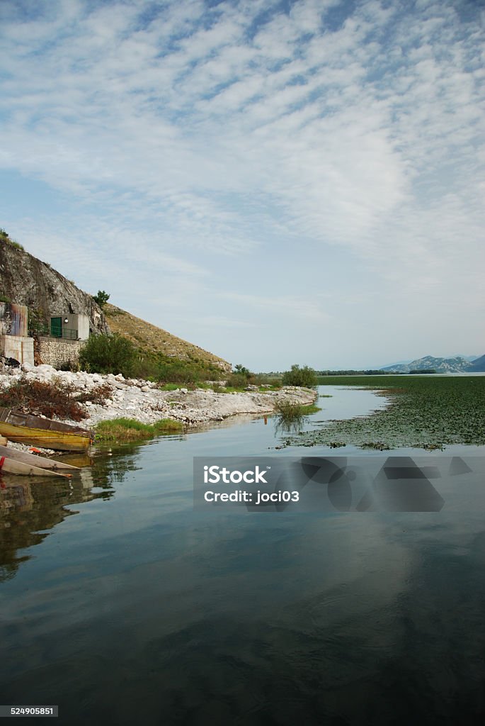 Lake Skadar Montenegro lake Skadar. Lake in national park. Natural scenery. Agricultural Field Stock Photo