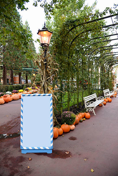 istock Pumpkin decoration in park 524905859