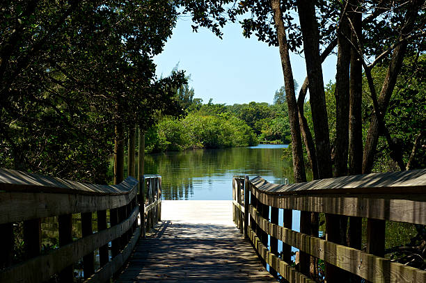 の眺め桟橋から川遊歩道 - bonita springs ストックフォトと画像