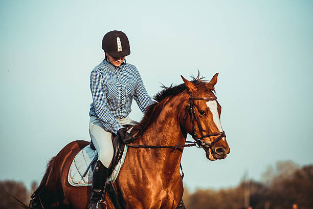 istock Girl riding a horse 524906128