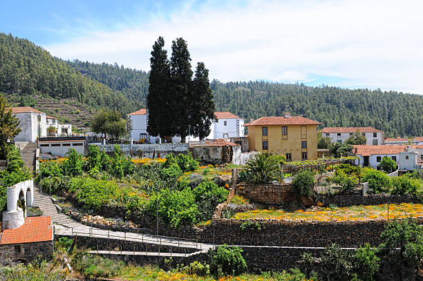 Village vilaflor on tenerife gardens with with California poppy (Eschscholzia californica) in Vilaflor, Tenerife (Spain) village vilaflor on tenerife stock pictures, royalty-free photos & images