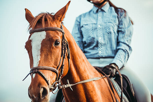 istock Girl riding a horse 524906350