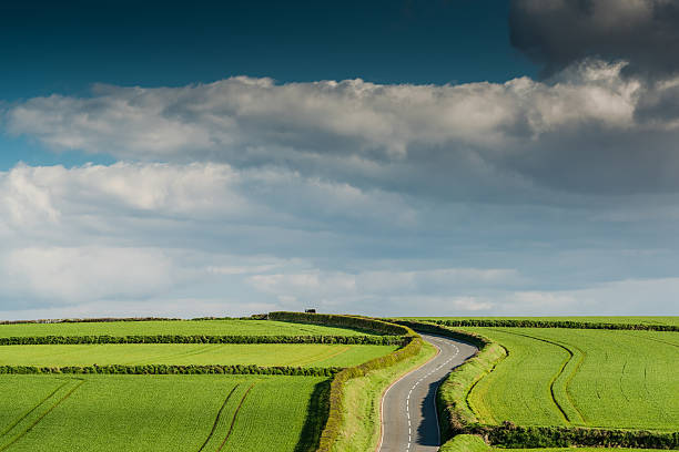 istock Rural road on rolling hills in countryside 524906678