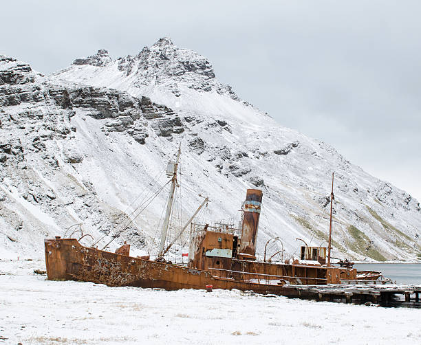 istock Abandoned whaling ship in South Georgia 524907429