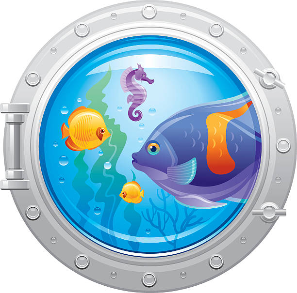 porthole with underwater life, fishes - 蝴蝶魚 幅插畫檔、美工圖案、卡通及圖標