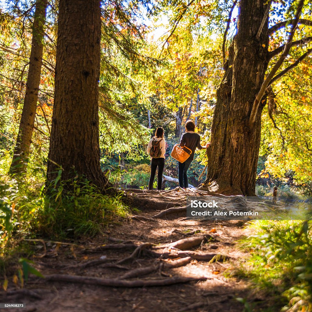 Two teenager girl in the forest next to the river Two teenager girl hiking in the forest. Looking to the river. Pennsylvania, Poconos. Pocono Mountains Region Stock Photo