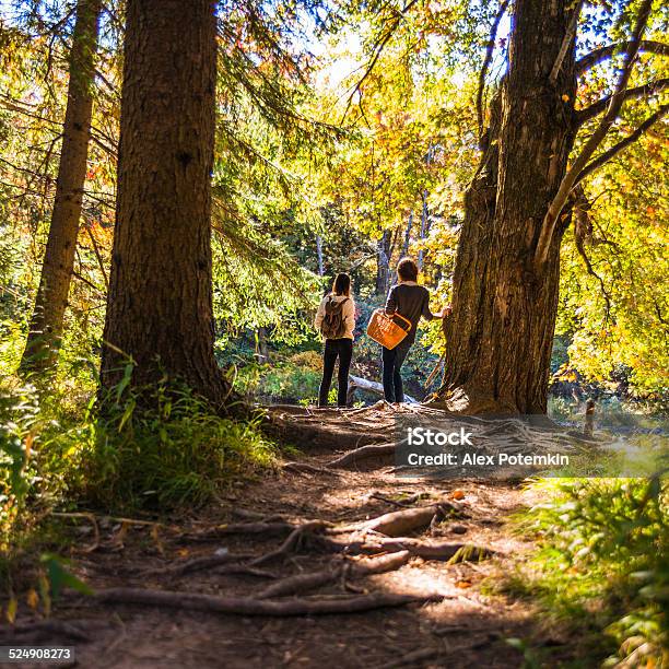 Two Teenager Girl In The Forest Next To The River Stock Photo - Download Image Now - Pocono Mountains Region, Pennsylvania, Hiking