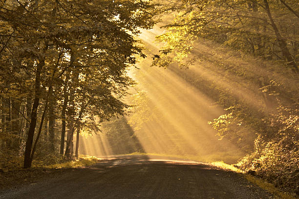 istock Early Morning Sunrise 524908425