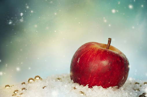 apple in to snow