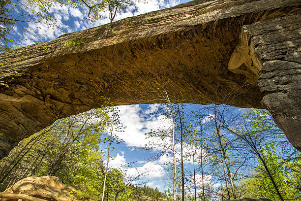 ponte naturale arco in kentucky - natural bridge state park foto e immagini stock