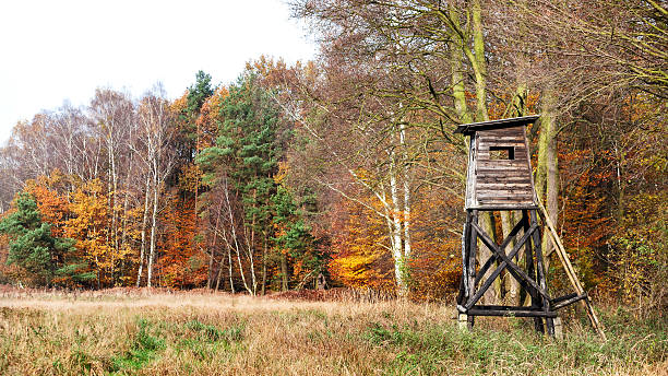 Panoramic view of a hunting pulpit in autumn. stock photo