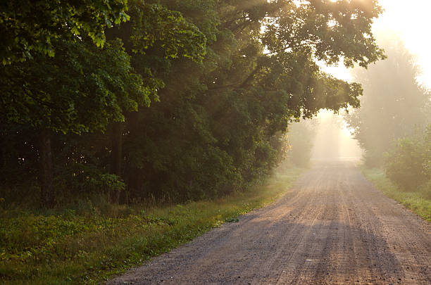 istock empty rural gravel road and autumn morning mist 524921661